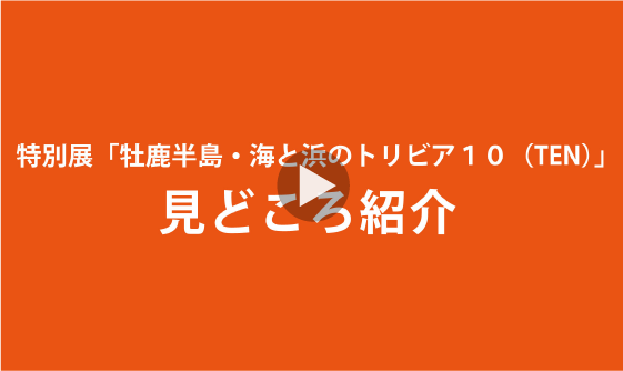 「牡鹿半島・海と浜のトリビア10」見どころ紹介！